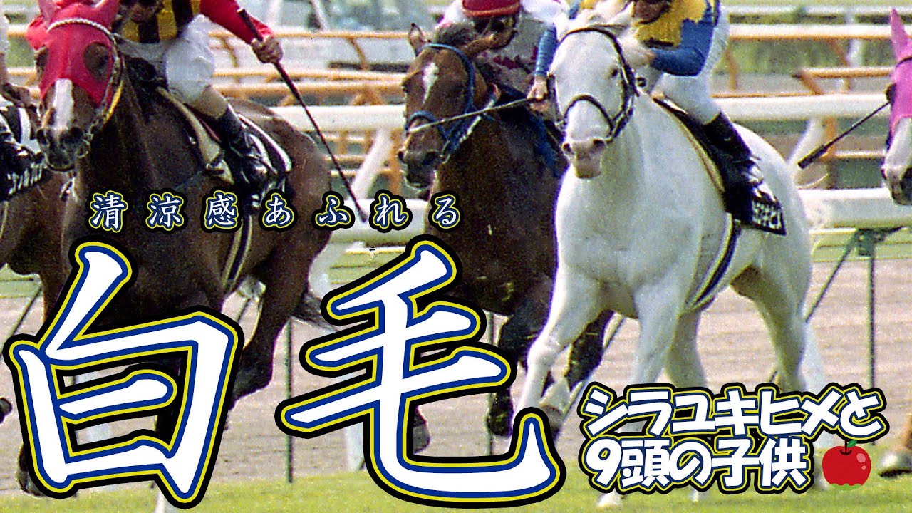 【清涼感あふれる白毛たち①～シラユキヒメと９頭の子供】