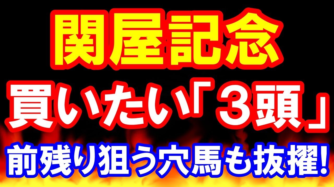関屋記念 2024 【 買いたい３頭 】 前残り狙う 穴馬も抜擢！