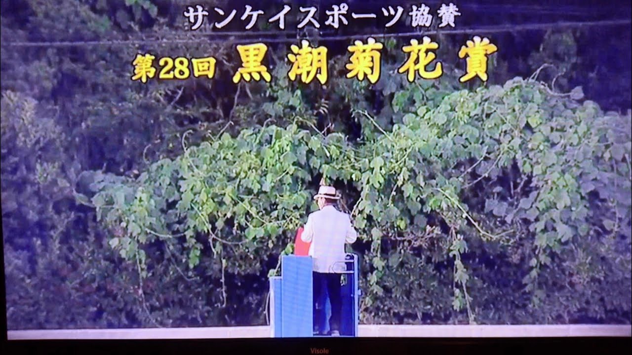 2024 第28回黒潮菊花賞(重賞・高知競馬)-プリフロオールイン【3冠達成】