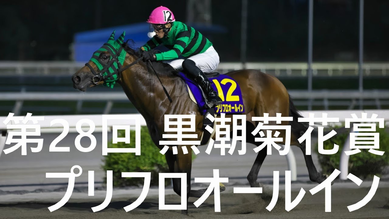 第28回　黒潮菊花賞　プリフロオールイン