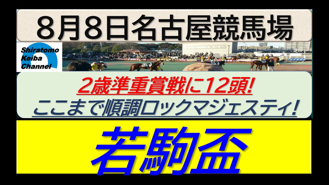 【競馬予想】若駒盃！～２０２４年８月８日 名古屋競馬場 ：８－２４
