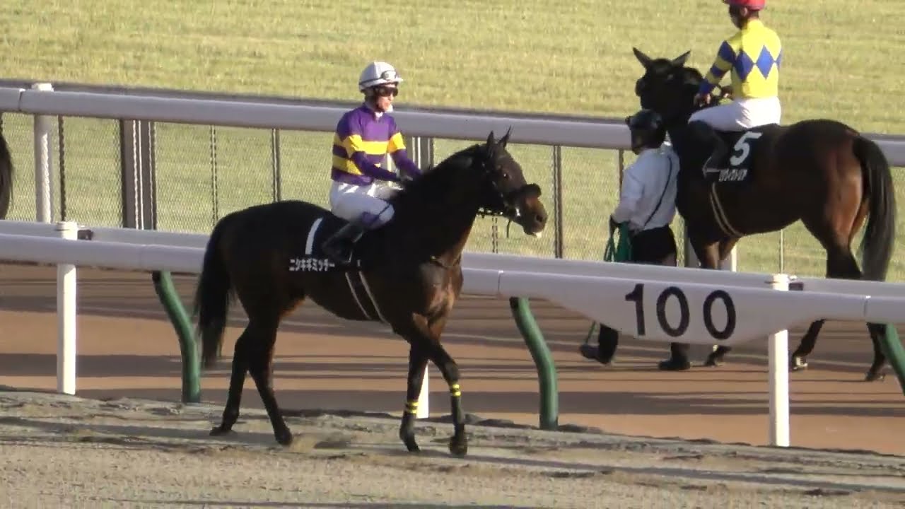 【武豊】フェブラリーSデー 最終12R 一番人気に騎乗するも出遅れで場内に悲鳴‼ 現地映像