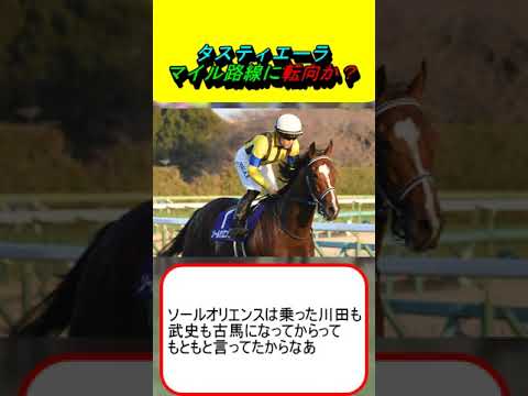 タスティエーラ、マイル路線に転向か？ #競馬 #競馬予想 #毎日王冠 #マイルCS #天皇賞秋 #ソールオリエンス #横山武史 #川田将雅 #モレイラ #ムーア #レーン #ジャパンカップ #有馬記念