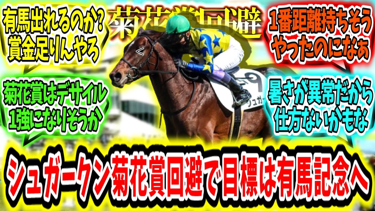 『夏バテか？シュガークン菊花賞回避で目標は有馬記念へ』に対するみんなの反応【競馬の反応集】