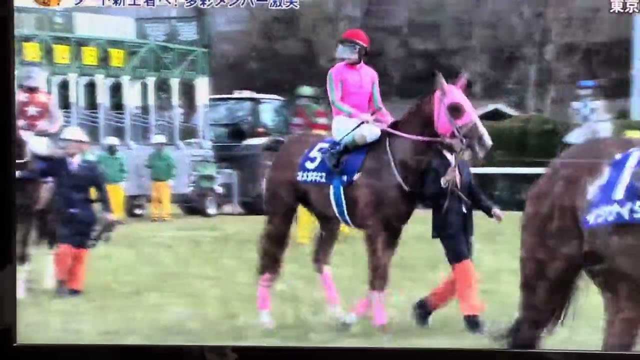 2024年 フェブラリーS ファンファーレ🎶