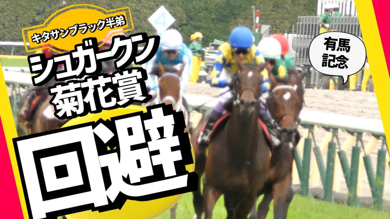 【武豊】シュガークン、菊花賞は出走せず有馬記念を照準！