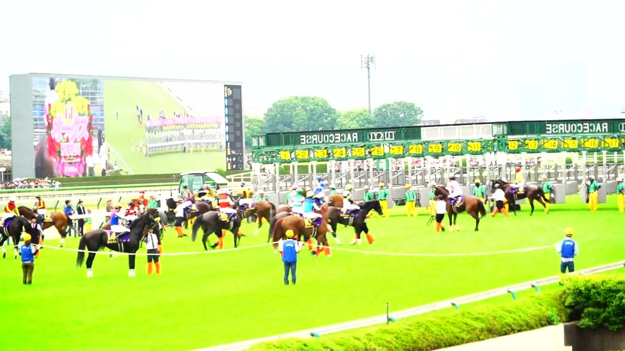 アコモさん G1　優駿牝馬　第85回 オークス