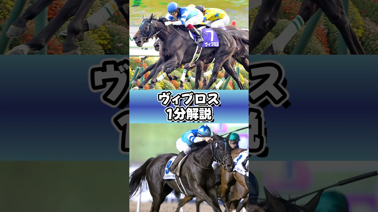 天来のリトルシスター #ヴィブロス #1分解説 #ウマ娘 #shorts