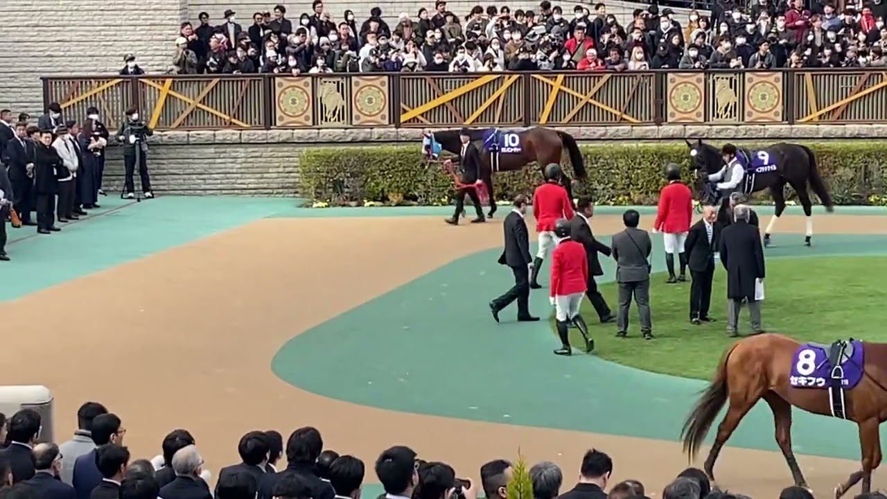 2024年フェブラリーステークスパドック