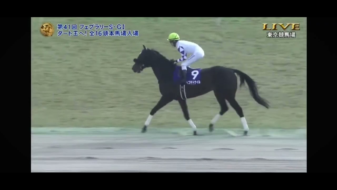 2024 フェブラリーステークスG1 本馬場入場　オメガギネス、イグナイター、ミックファイアなど