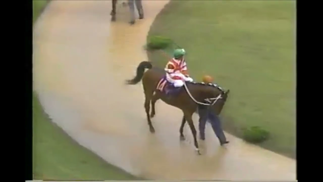 第50回　東京優駿（日本ダービー）パドック　1983.5.29　出走馬：ミスターシービー、メジロモンスニー、ビンゴカンタ、ブルーダーバン、ウメノシンオー、カツラギエース、ウズマサリュウ、スズカコバン他