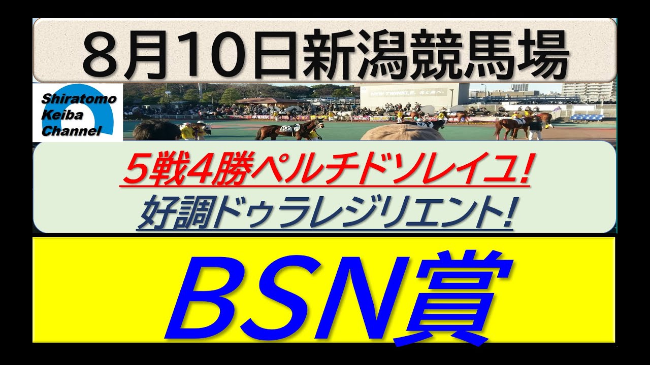 【競馬予想】BNS賞！～２０２４年８月１０日 新潟競馬場 ：８－２９