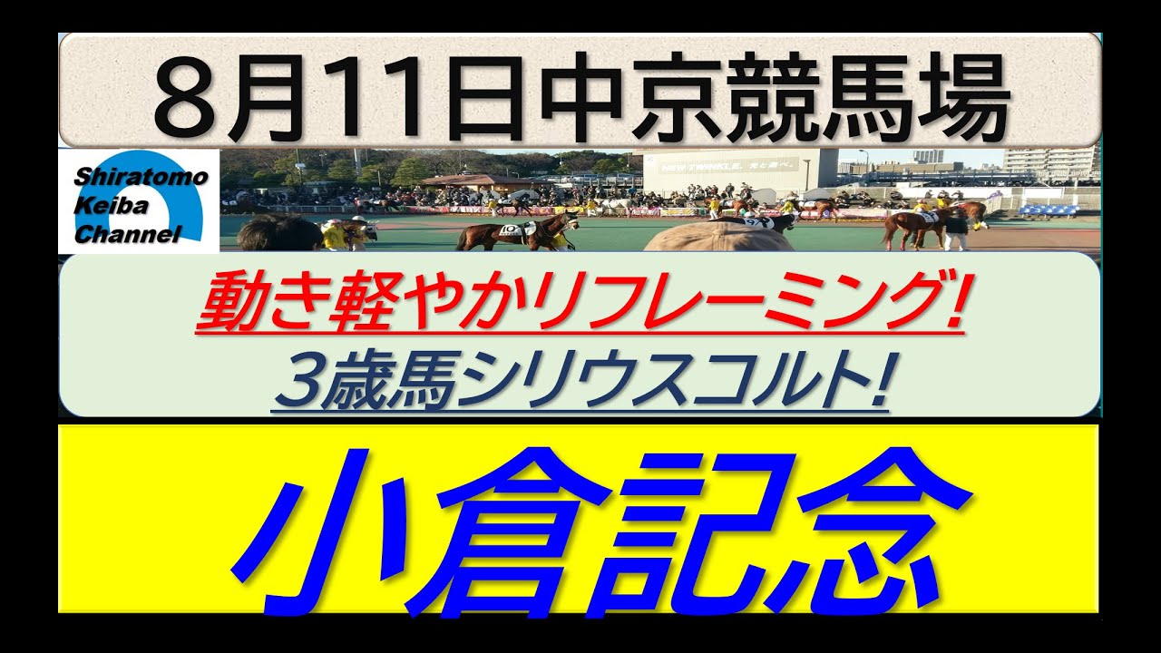【競馬予想】GⅢ小倉記念！～２０２４年８月１１日 中京競馬場 ：８－２８