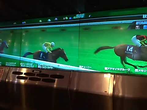 6フィールドベア 秋華賞