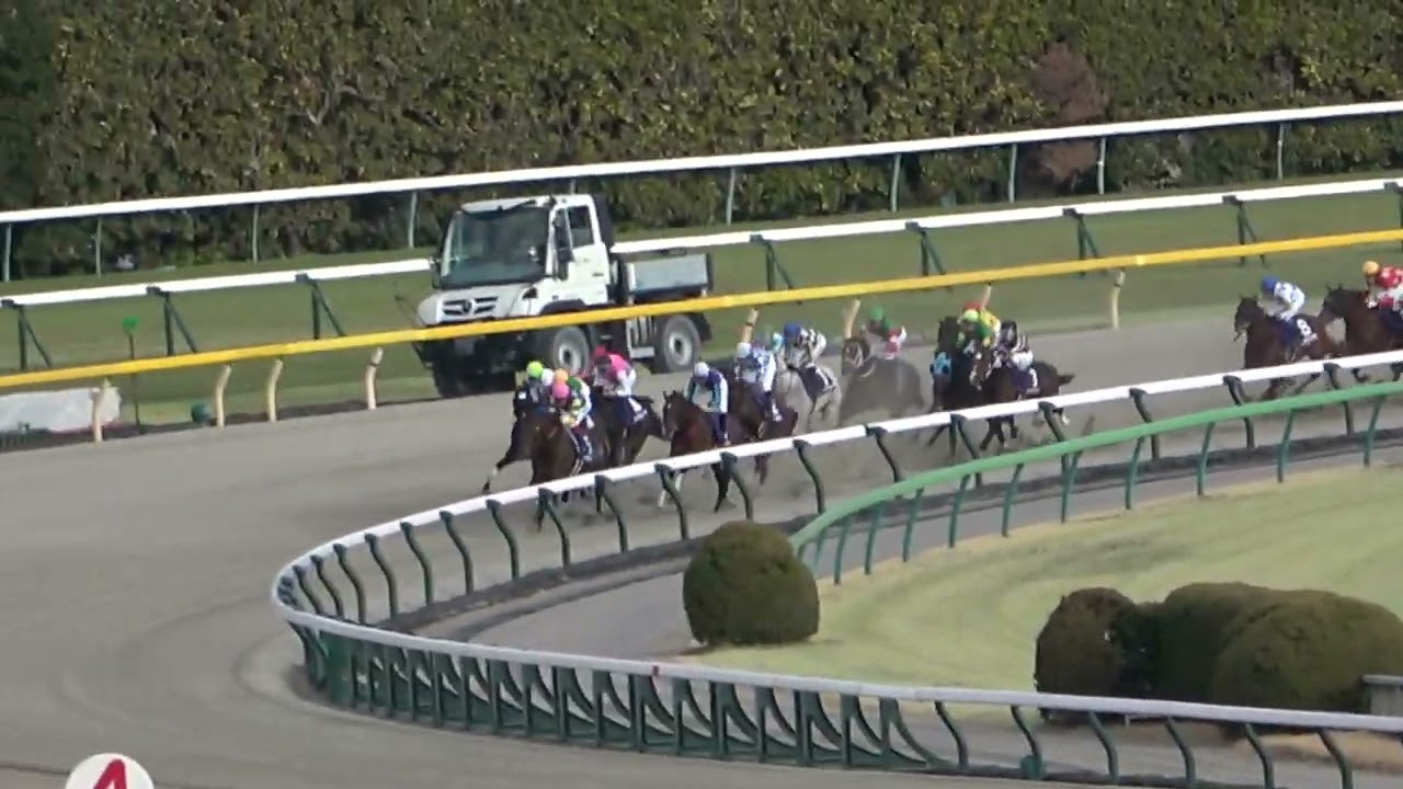 2024 フェブラリーS 大波乱の結末 現地ダイジェスト