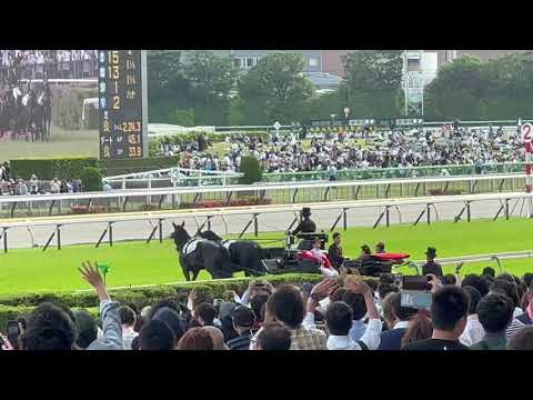【第91回 東京優駿〈日本ダービー〉(GI)】馬車パレード
