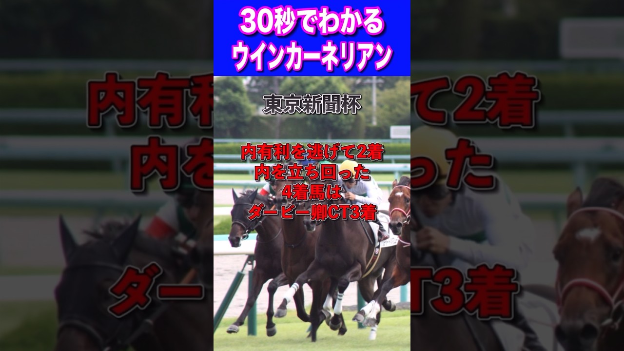 【安田記念2024】30秒でわかるウインカーネリアン