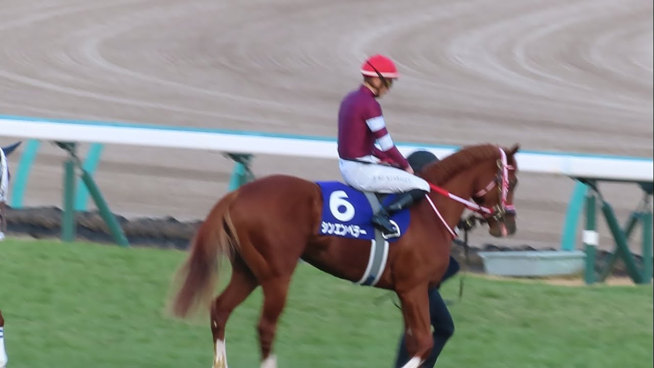 【現地】2023/12/28 G1 ホープフルステークス　本馬場入場【中山競馬場】