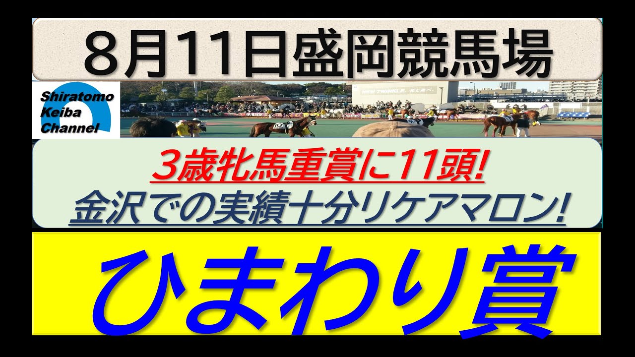 【競馬予想】ひまわり賞！～２０２４年８月１１日 盛岡競馬場 ：８－３２