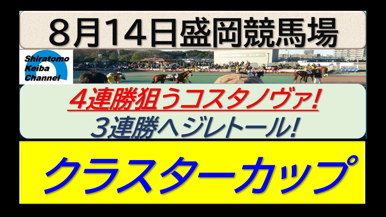 【競馬予想】JpnⅢクラスターカップ！～２０２４年８月１４日 盛岡競馬場 ：８－３３