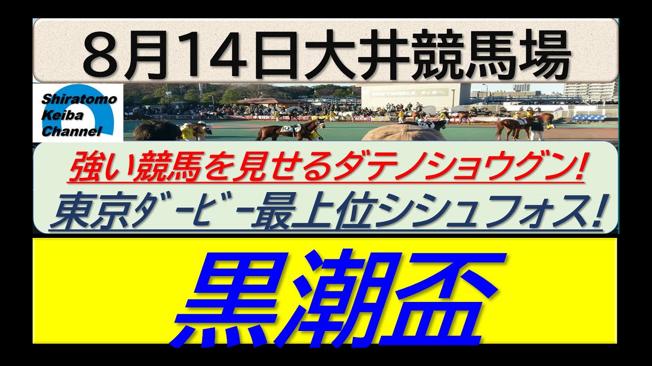 【競馬予想】黒潮盃！～２０２４年８月１４日 大井競馬場 ：８－３７