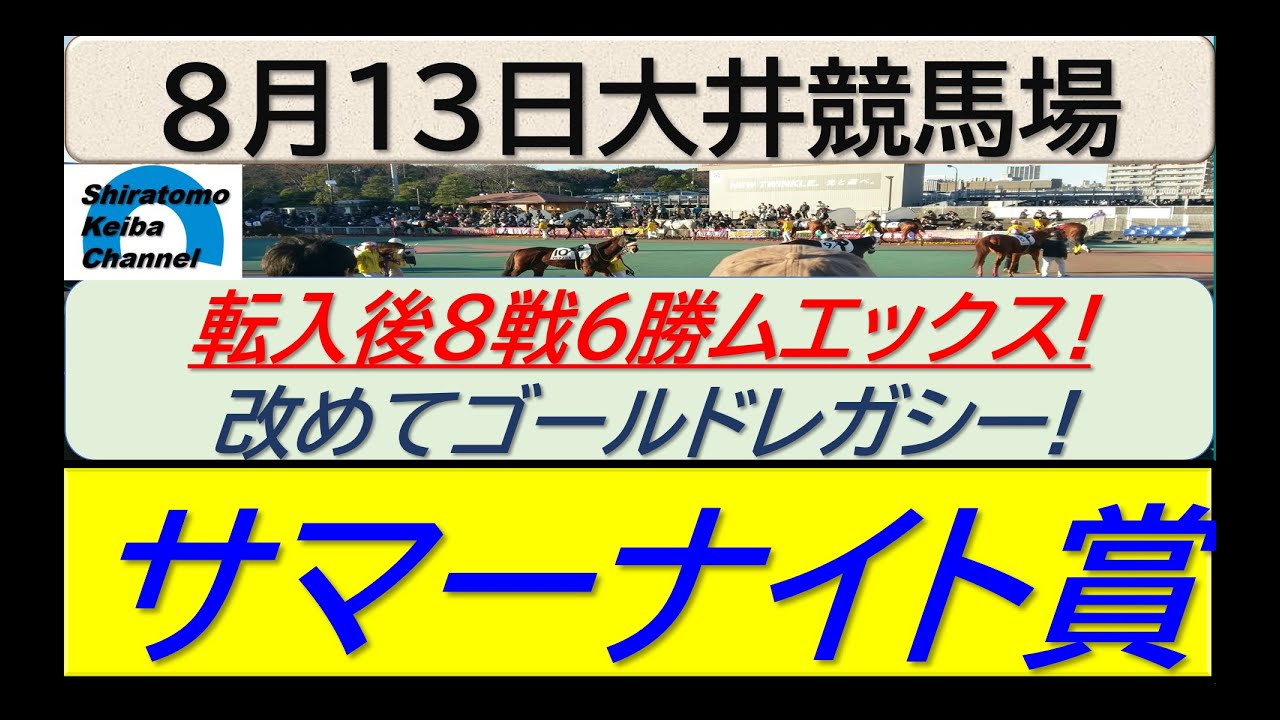 【競馬予想】サマーナイト賞！～２０２４年８月１３日 大井競馬場 ：８－３５