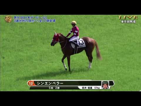 2024年日本ダービーG1 本馬場入場