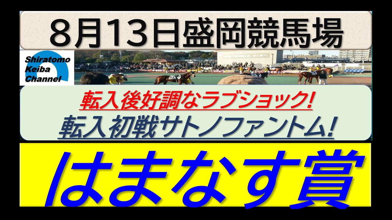 【競馬予想】はまなす賞！～２０２４年８月１３日 盛岡競馬場 ：８－３８
