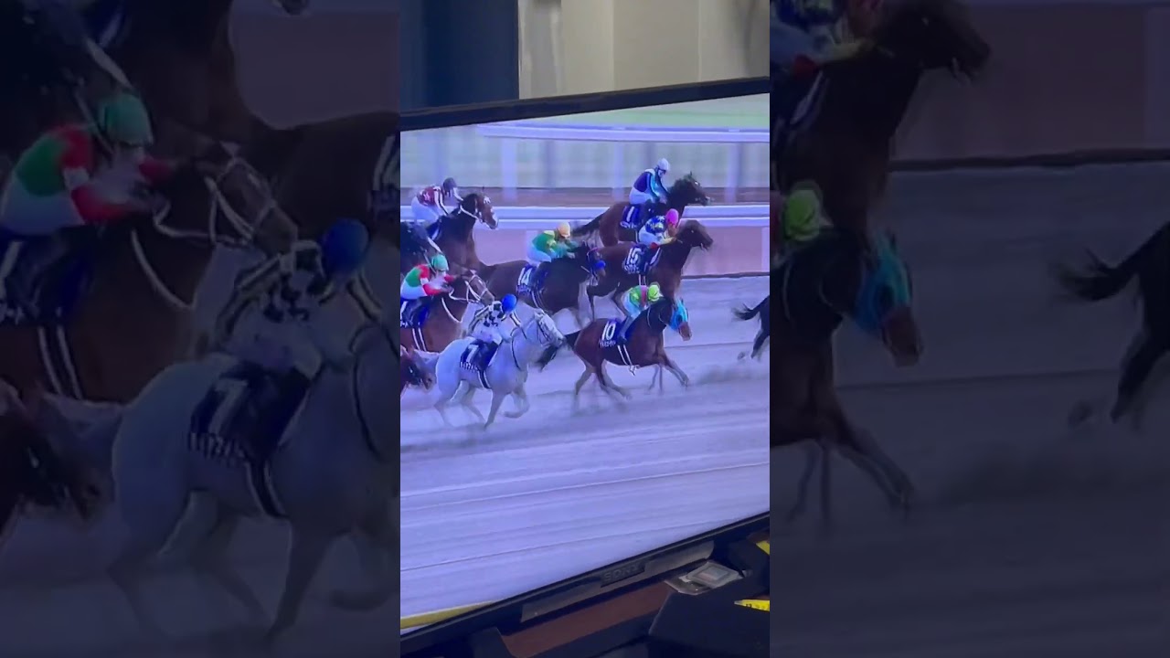 【競馬】フェブラリーSやってきた‼︎ #shorts #競馬 #フェブラリーステークス