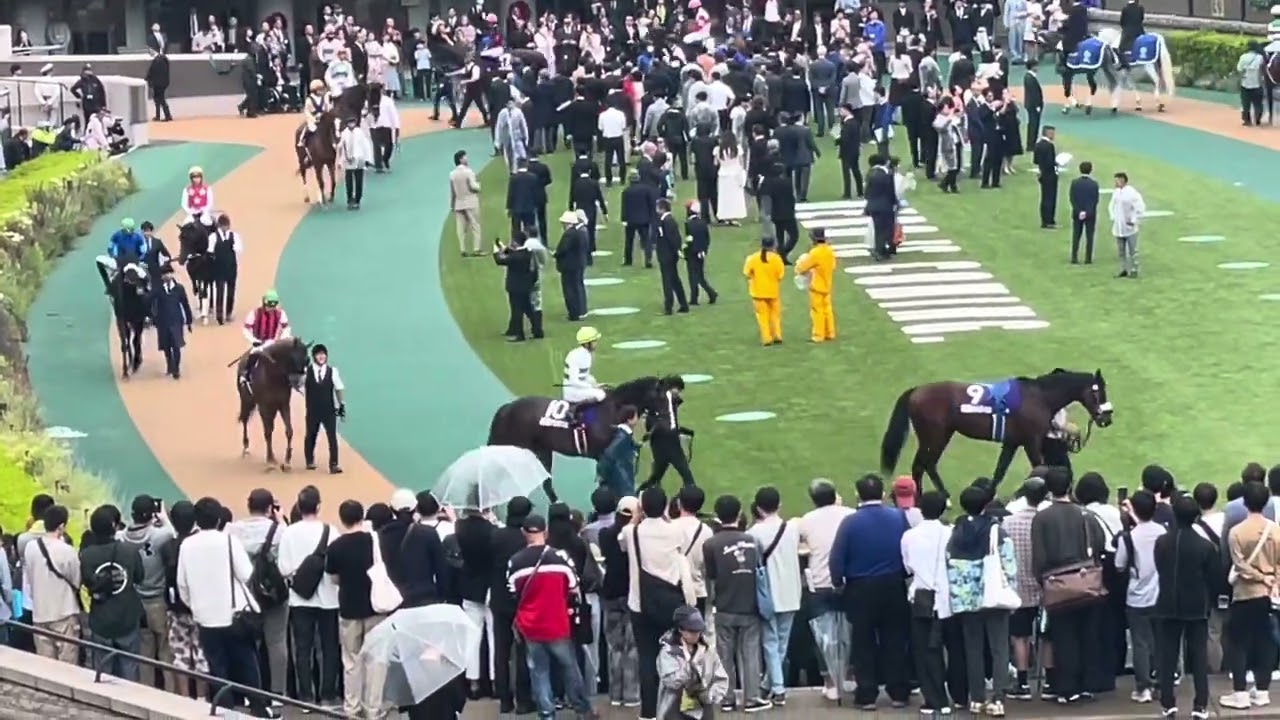 安田記念G1 2024 パドック　現地映像　東京競馬場　ロマンチックウォリアー