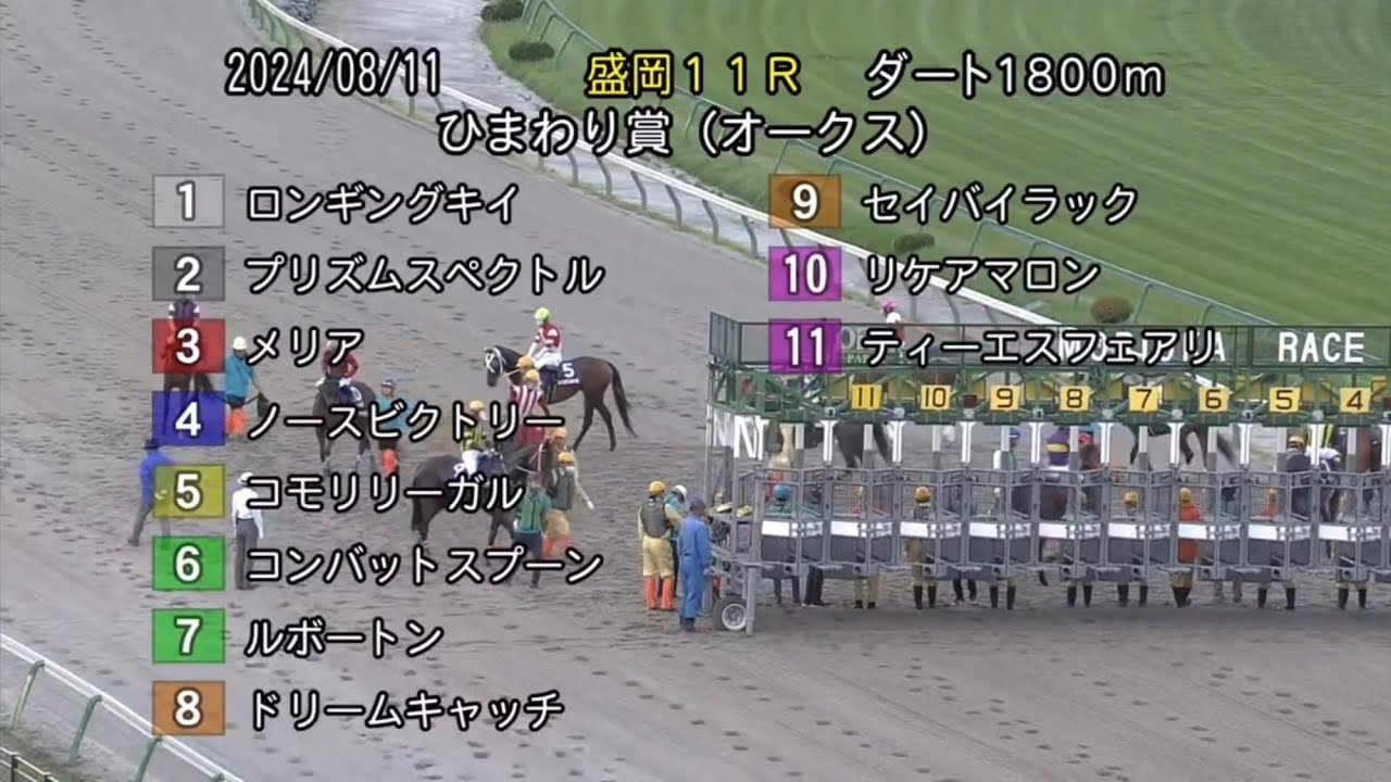 【第38回 ひまわり賞(オークス) (M1)】 2024 8/11 盛岡競馬場 優勝馬:コモリリーガル号