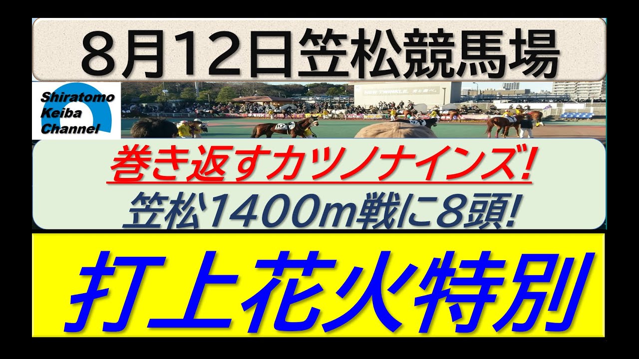 【競馬予想】打上花火特別！～２０２４年８月１２日 笠松競馬場 ：８－３６