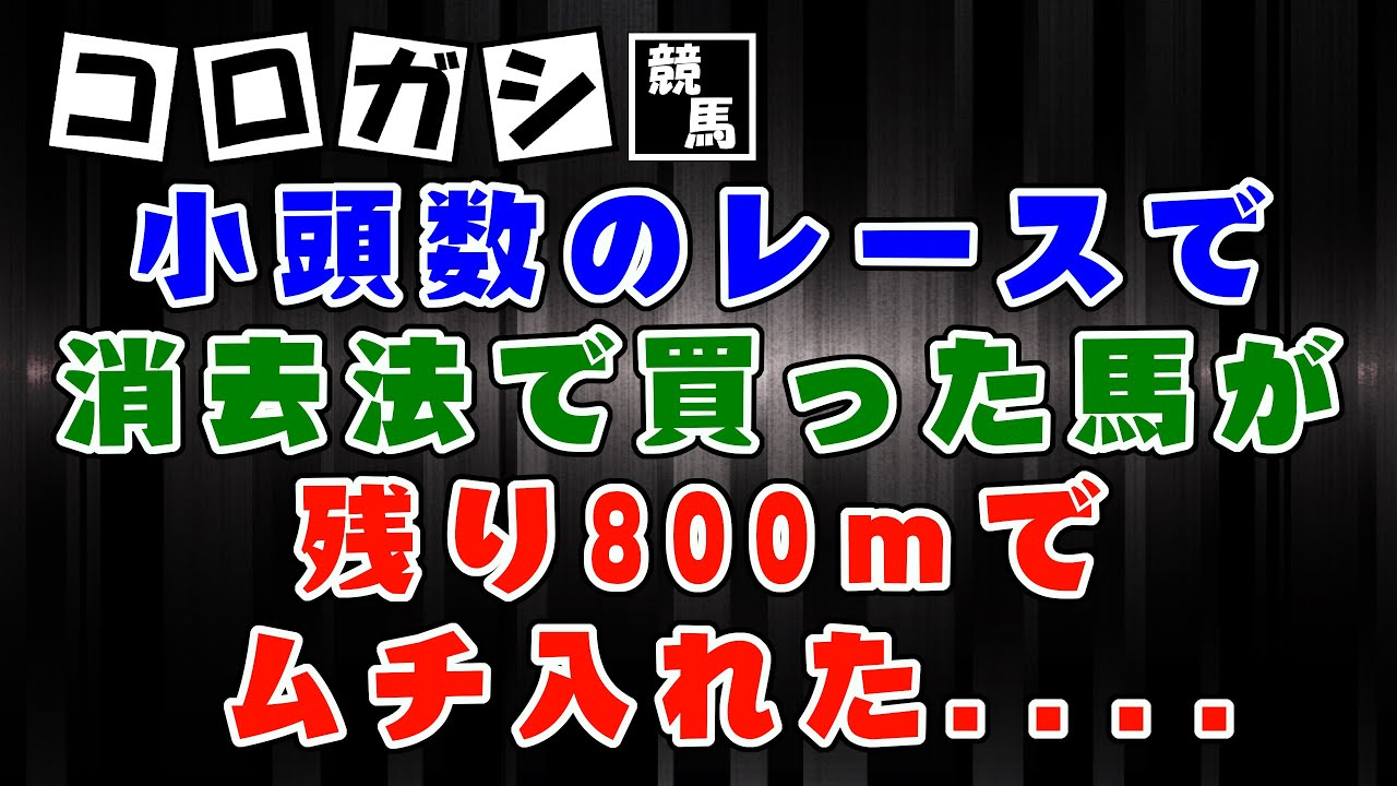 【競馬】消去法で買った馬が残り800ｍでムチ…