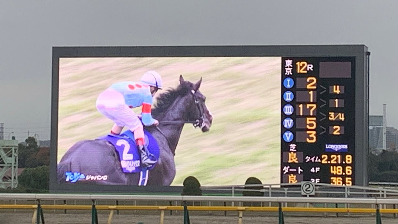 【イクイノックス ラストラン】ジャパンカップ2023 現地の様子と大興奮してしまう投稿主