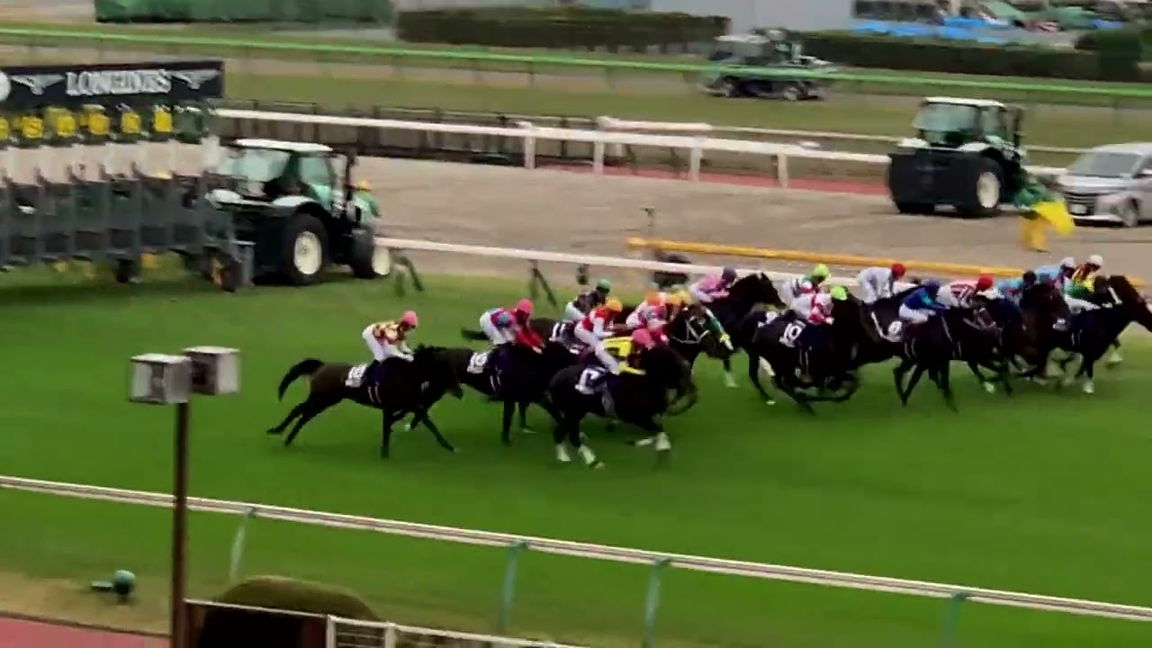 イクイノックス圧勝 天皇賞秋 2023.10.29 ジャパンカップ 11.26 東京競馬場（ダイジェスト版）