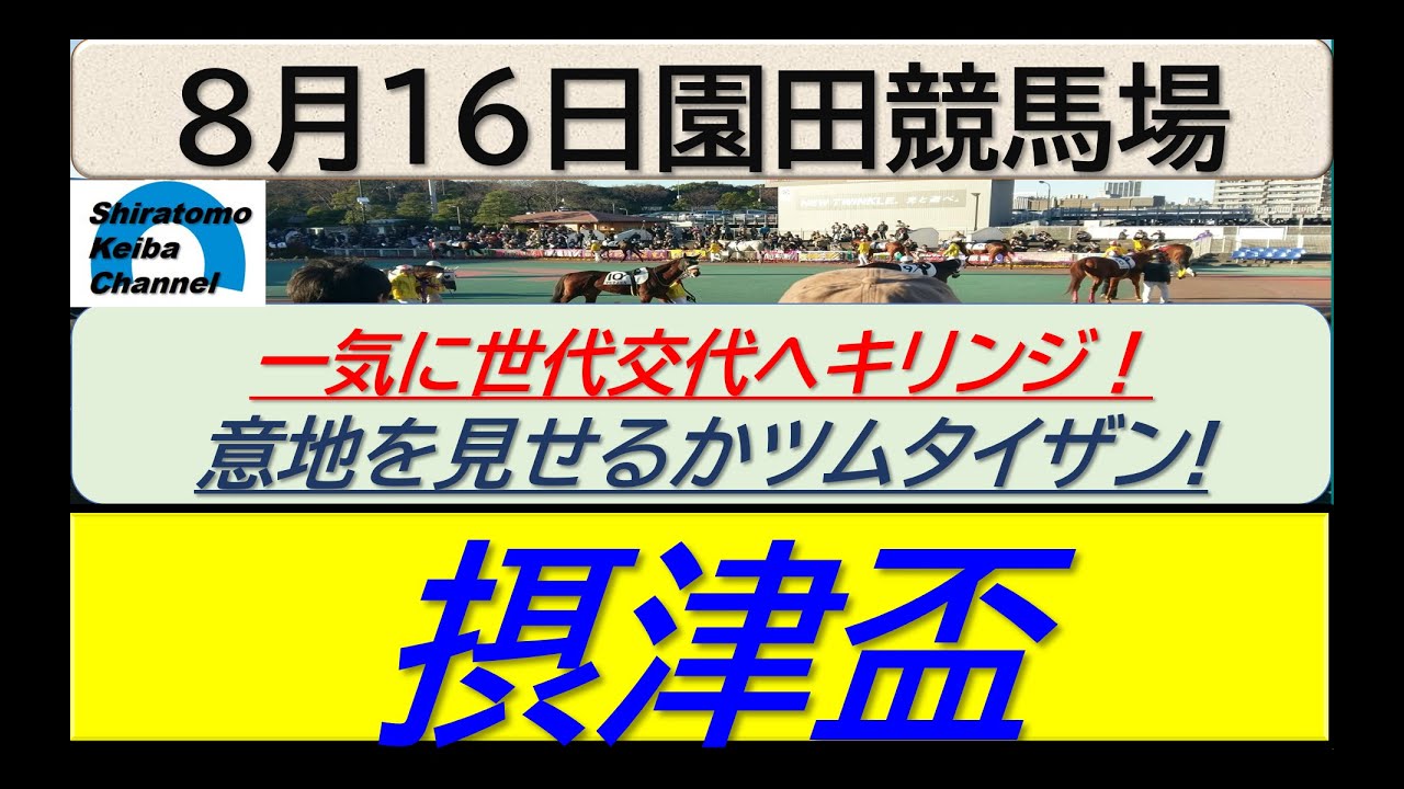 【競馬予想】摂津盃！～２０２４年８月１６日 園田競馬場 ：８－４４