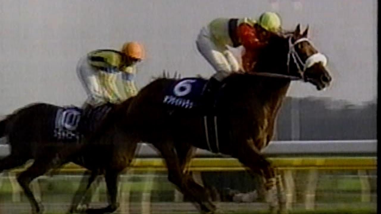 1998年(平成10年)第118回天皇賞(秋)(G1)オフサイドトラップ
