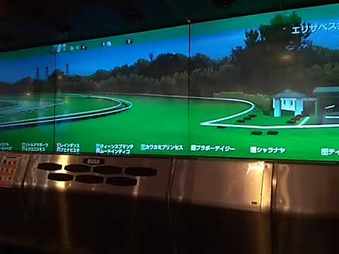 9フィールドベア エリザベス女王杯