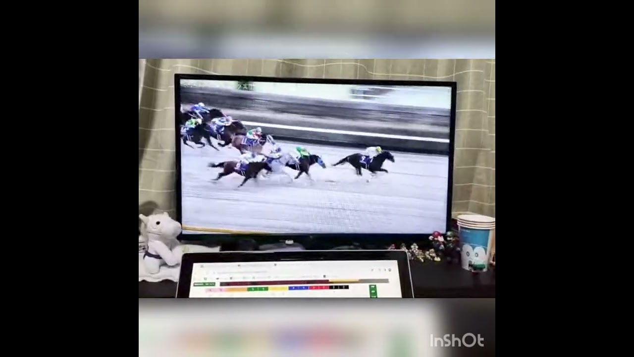 フェブラリーステークス2024大波乱