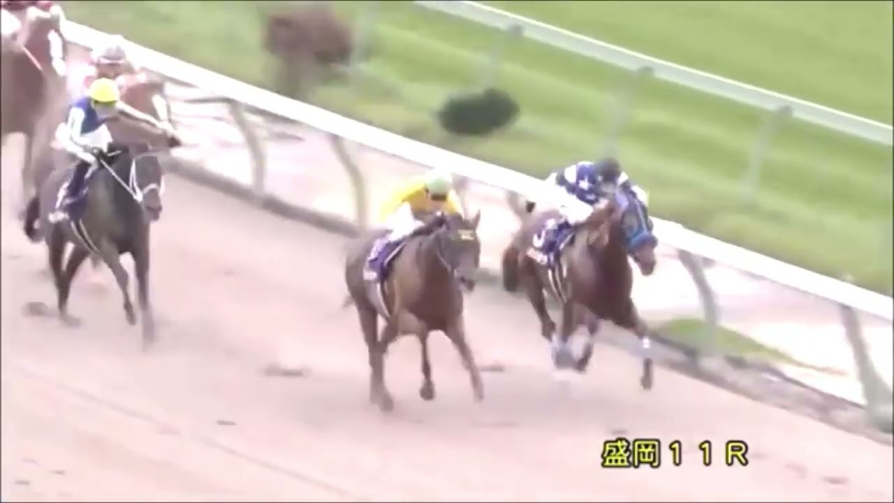 第30回　マイルチャンピオンシップ南部杯(G1)　ダ左1600m　コパノリッキー　牡7　57　田辺裕信　2017.10.9　　出走馬：ノボバカラ、キングズガード、カフジテイク、ゴールドドリーム他