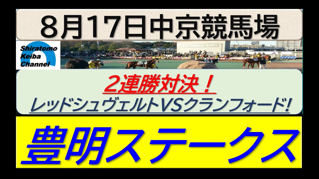 【競馬予想】豊明ステークス！～２０２４年８月１７日 中京競馬場 ：８－４８