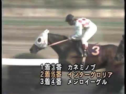 1978 有馬記念 カネミノブ
