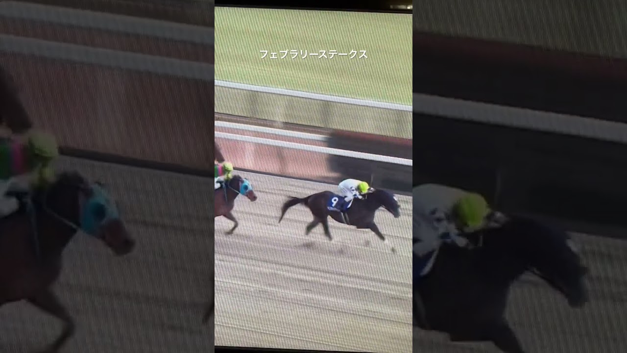 フェブラリーステークス