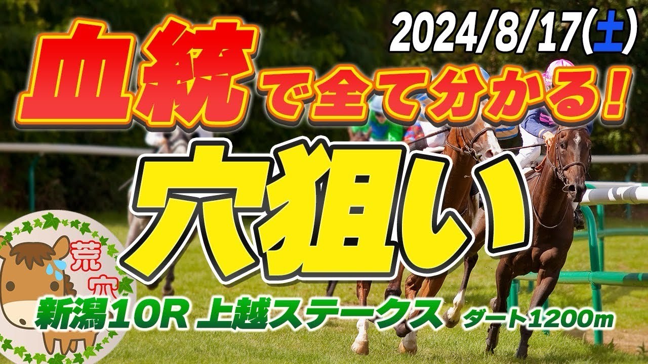 【買い目公開】　2024年8月17日　平場予想【JRA】