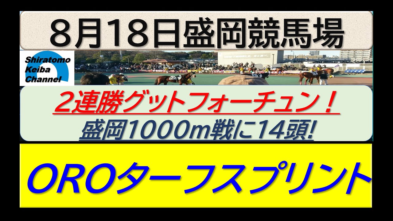 【競馬予想】OROターフスプリント！～２０２４年８月１８日 盛岡競馬場 ：８－５１