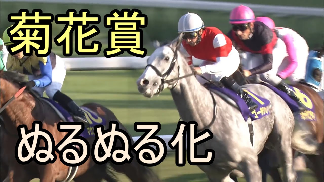 ゴールドシップ　菊花賞　ぬるぬる化で見よう　conv to 60fps　2012