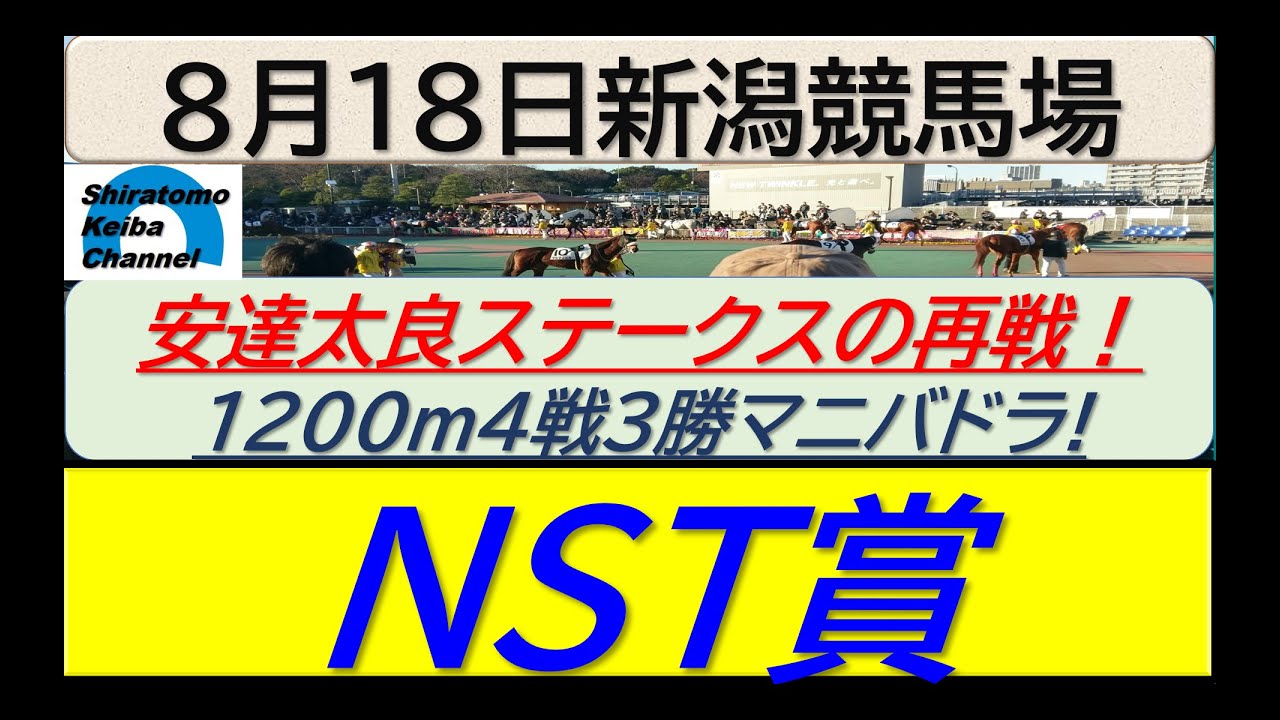 【競馬予想】NST賞！～２０２４年８月１８日 新潟競馬場 ：８－５０