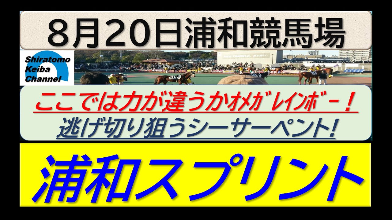 【競馬予想】浦和スプリント！～２０２４年８月２０日 浦和競馬場 ：８－５３