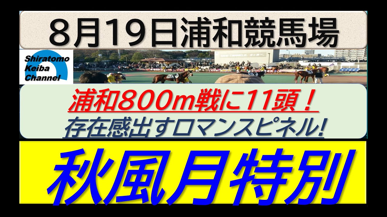 【競馬予想】秋風月特別！～２０２４年８月１９日 浦和競馬場 ：８－５２