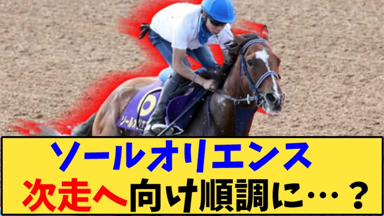 【競馬】「ソールオリエンス　天皇賞秋に向けて成長か！？」に対する反応【反応集】